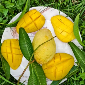 আম সমূহঃ