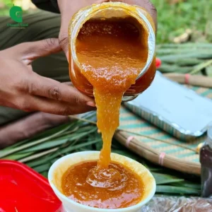 খেজুরের গুড়