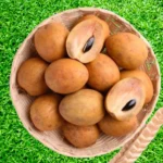 সুমিষ্ট দেশি সফেদা ফল (২কেজি)