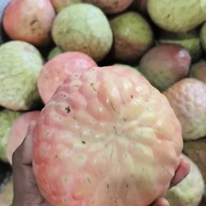 আতা / শরিফা ফল (৩কেজি)