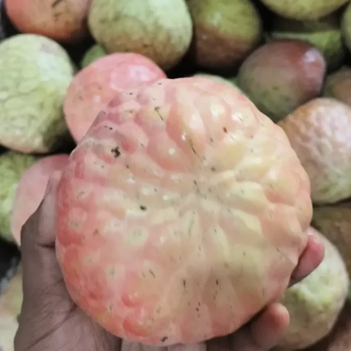 আতা / শরিফা ফল (২কেজি)