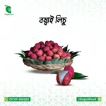 বোম্বাই লিচু (৫০০পিস)