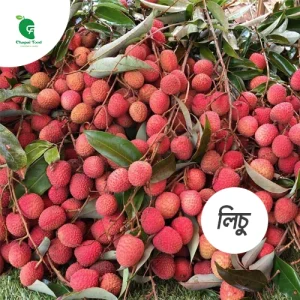 লিচু