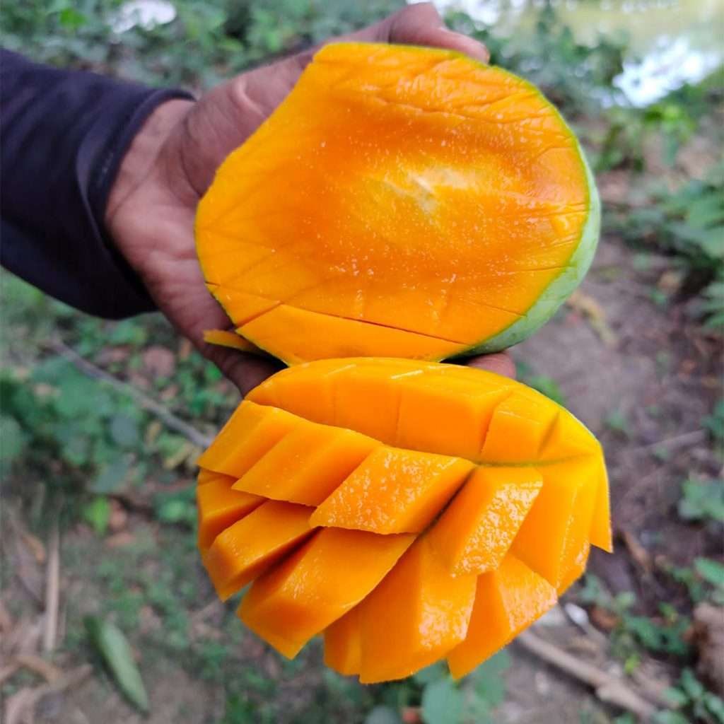 হিমসাগর আম (১২কেজি)