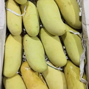 ব্যানানা আম (১০কেজি)