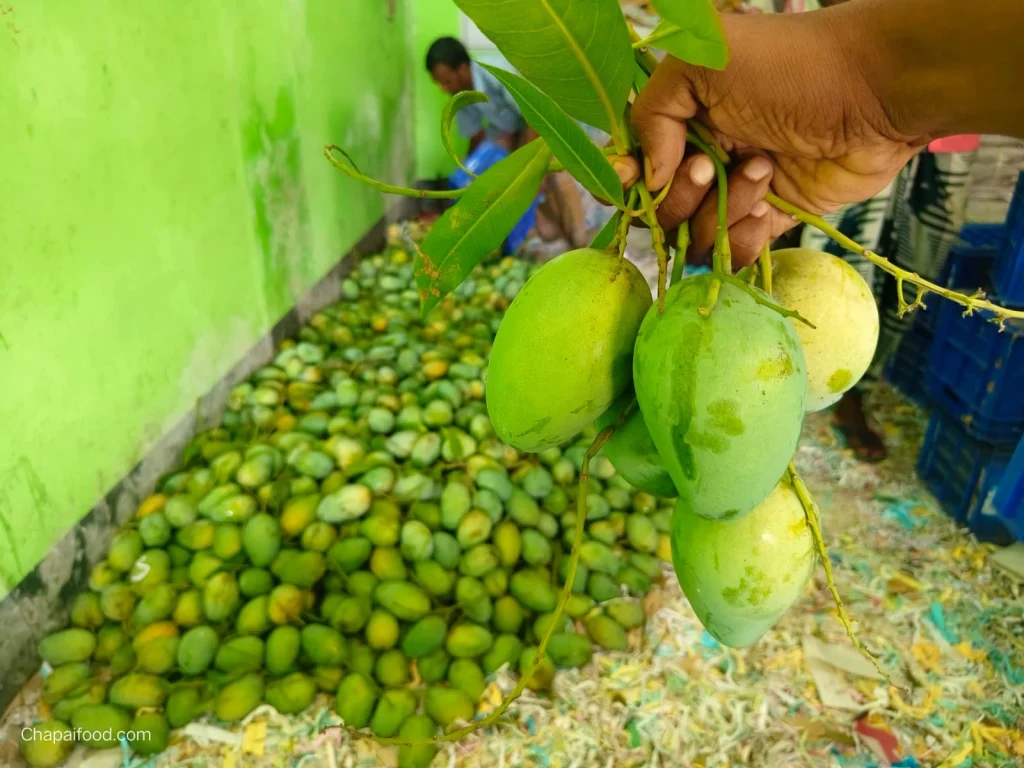 কড়ামিস্টি দেশী আম্রপালি (১২কেজি)